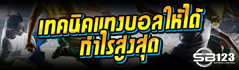 เทคนิคแทงบอลให้ได้กำไรสูงสุด