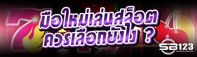 มือใหม่เล่นสล็อต ควรเลือกยังไง ?