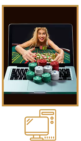 ทางเข้าสำหรับอุปกรณ์ PC